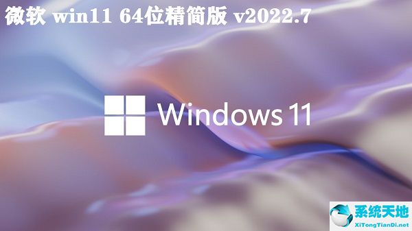 微軟 win11 64位精簡(jiǎn)版 v2022.7