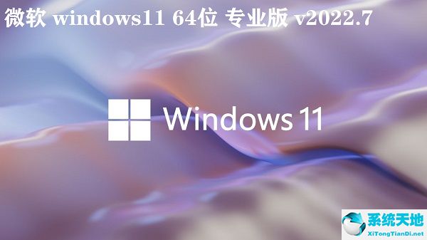 微軟 windows11 64位專(zhuān)業(yè)版 v2022.7