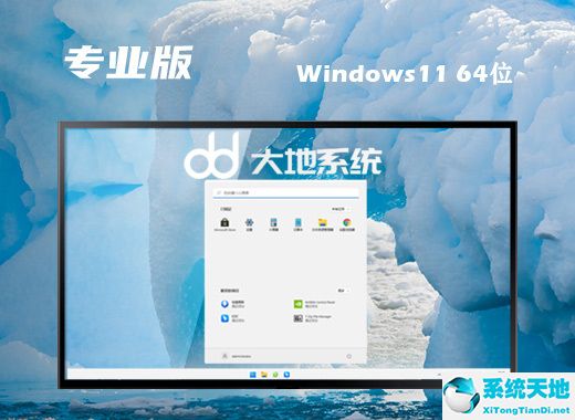大地系統(tǒng) ISO Win11 64位專業(yè)版 v2022.08
