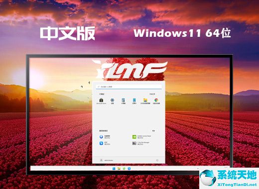 雨林木風(fēng) ISO Win11 64位最新中文版 v2022.08