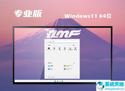 雨林木風(fēng) ISO Win11 64位中文專業(yè)版 v2022.09